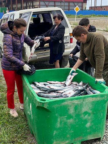 «Рыбный край Камчатка»